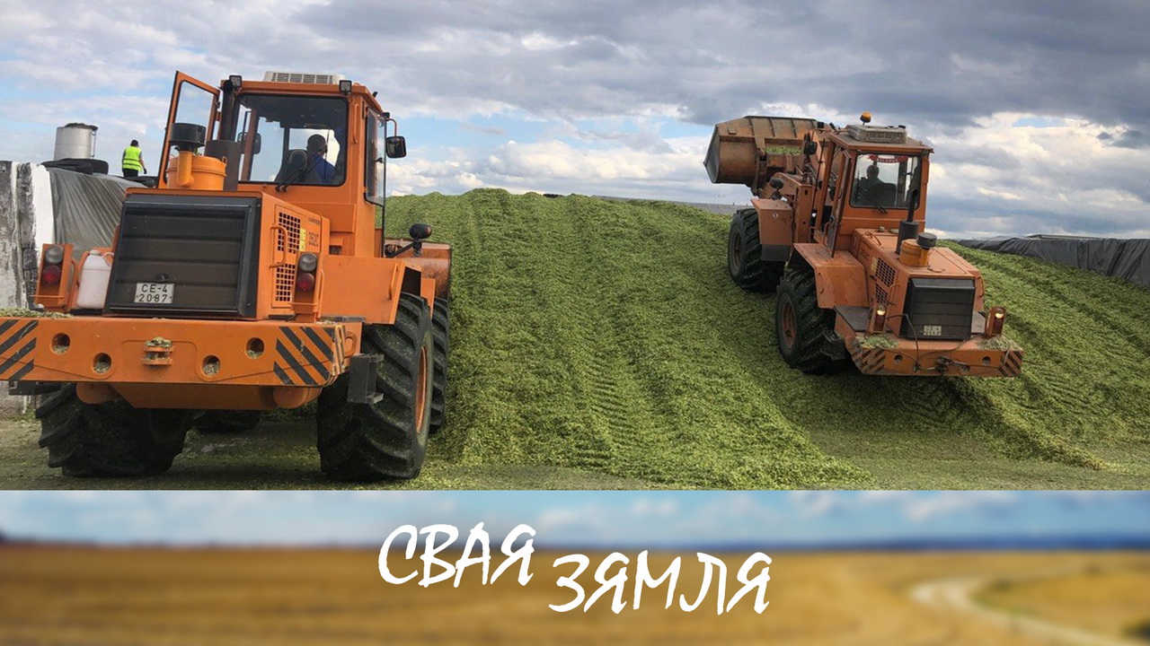 Анонс: Смелые решения флагмана АПК – «Своя земля», 17.10.2026 