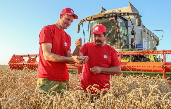 «Соль зямли? Чалавек працы! Я так думаю. А вы?» Радыёблог Алены Давідовіч (аўдыё)