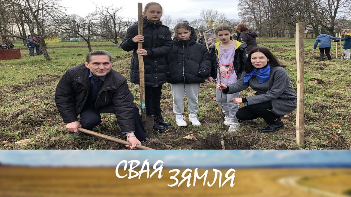 Анонс: НОВЫЯ ФРУКТОВЫЯ САДЫ З'ЯВІЛІСЯ Ў БЕЛАРУСІ – «Свая зямля», 26.11.2022