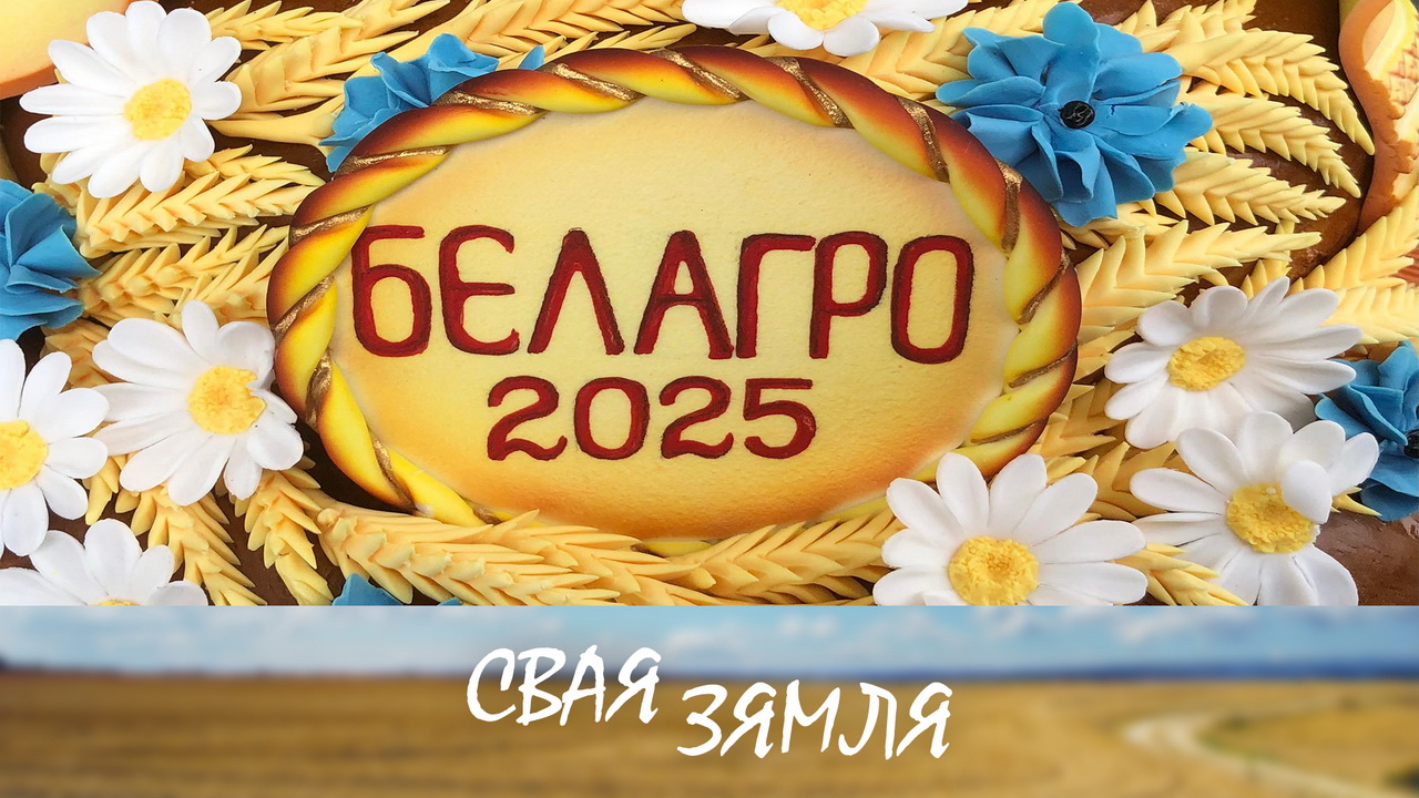 Анонс: Навінкі «Белагра-2025» адправяцца амаль у 100 краін свету – «Свая зямля», 7.06.2025