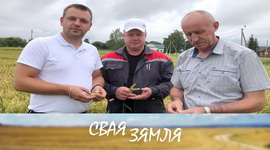 Анонс: Поспех здабываюць калектыўнай працай – «Свая зямля», 26.07.2025