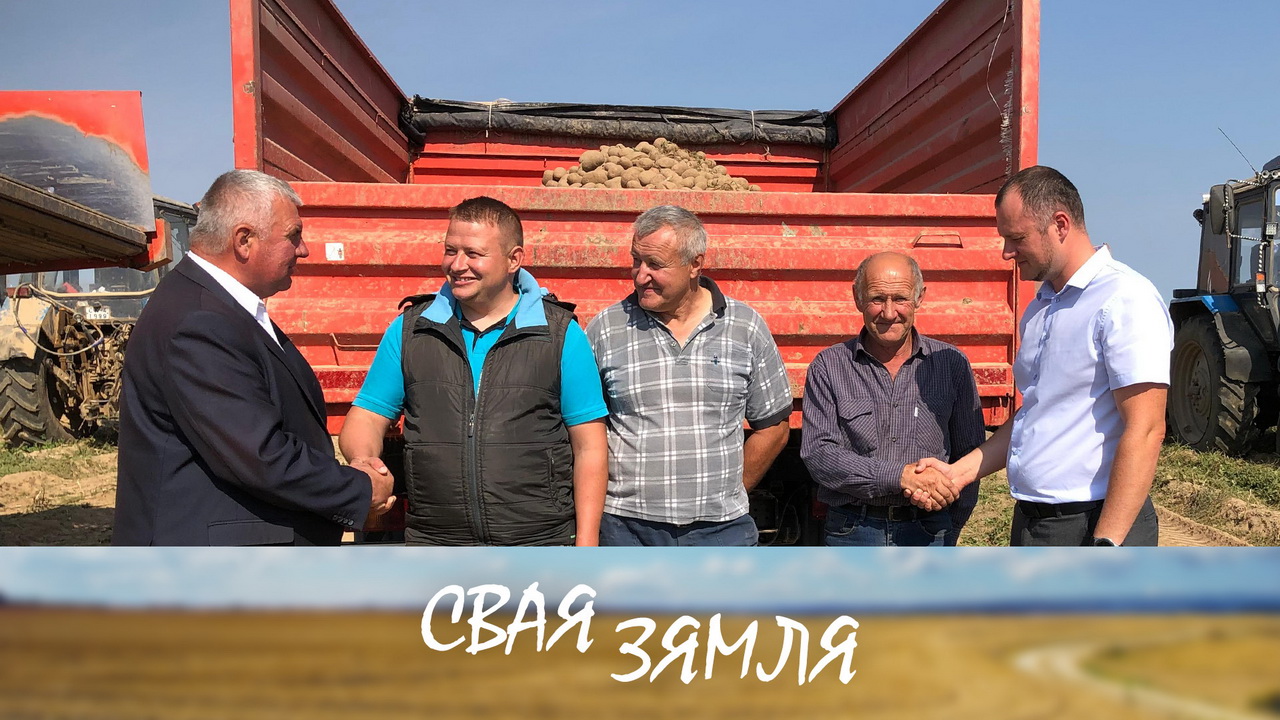 Анонс: Бульбы хопіць усім! – «Свая зямля», 6.09.2025