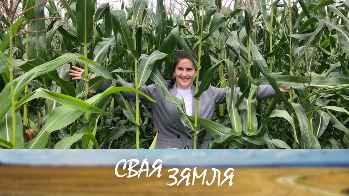 Рэкорды і рэбусы аграрнага сезону – «Свая зямля»