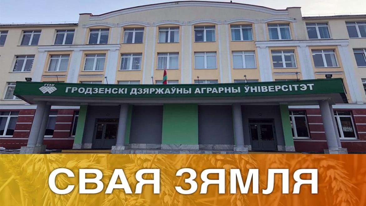 Якія сельскагаспадарчыя спецыяльнасці сёння папулярныя? – «Свая зямля», 8.05.2021 (відэаанонс)