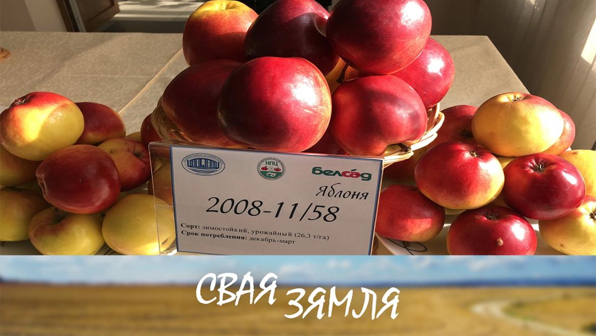 АПТЫМІСТЫЧНЫ ПРАГНОЗ БЕЛАРУСКІХ ВУЧОНЫХ – «СВАЯ ЗЯМЛЯ», 12.03.2022 (відэаанонс)