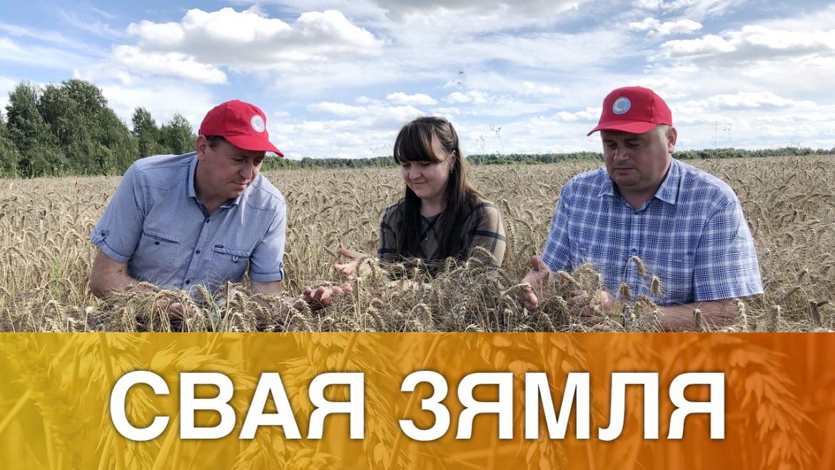 Колькі заважыць каравай Віцебшчыны? – «Свая зямля», 5.09.2020 (відэаанонс+аўдыё)