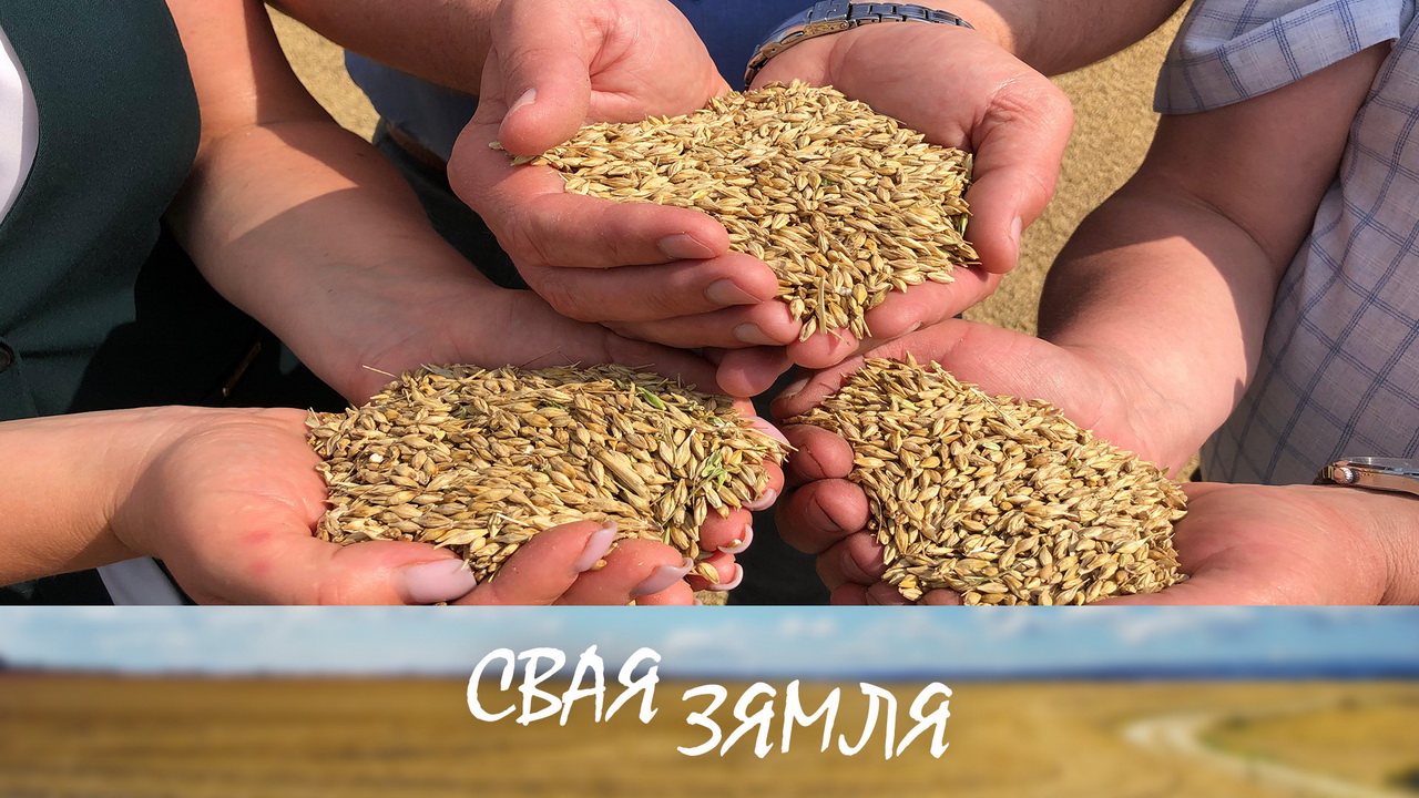 Анонс: Каб не затрымацца на старце жніва – «Свая зямля», 12.07.2025