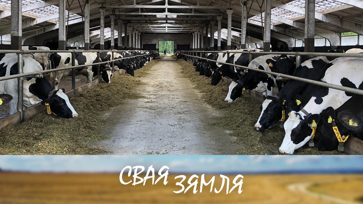 ІМПАРТАЗАМЯШЧЭННЕ З ПРЫБЫТКАМ! – «СВАЯ ЗЯМЛЯ», 25.06.2022 (відэаанонс)