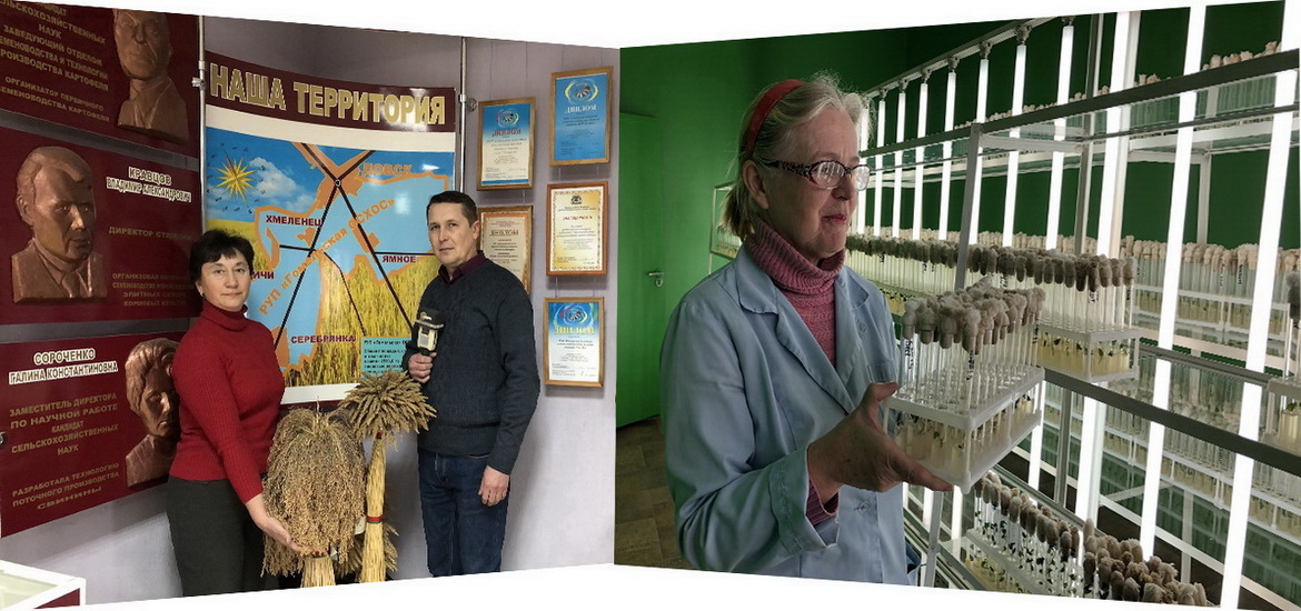 Аптымістычны прагноз вучоных на новы сезон – «Свая зямля», 29.02.2020 (відэаанонс)