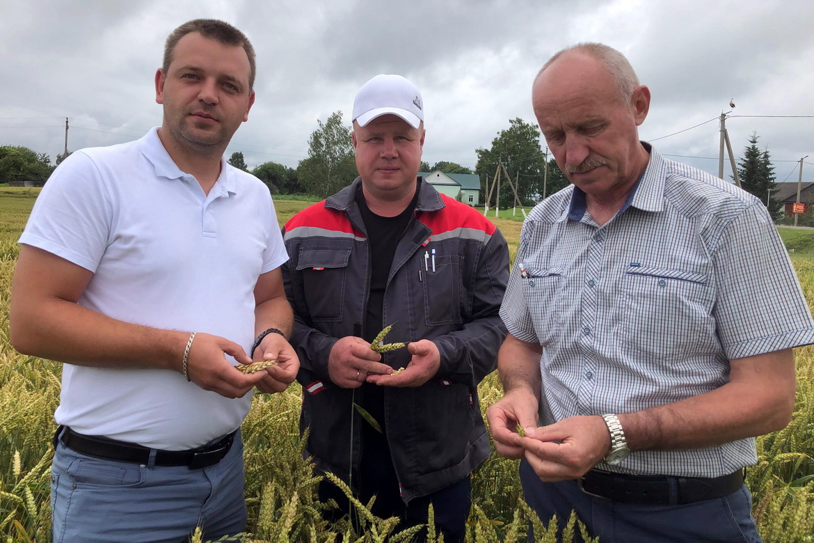 Поспех здабываюць калектыўнай працай – «Свая зямля»