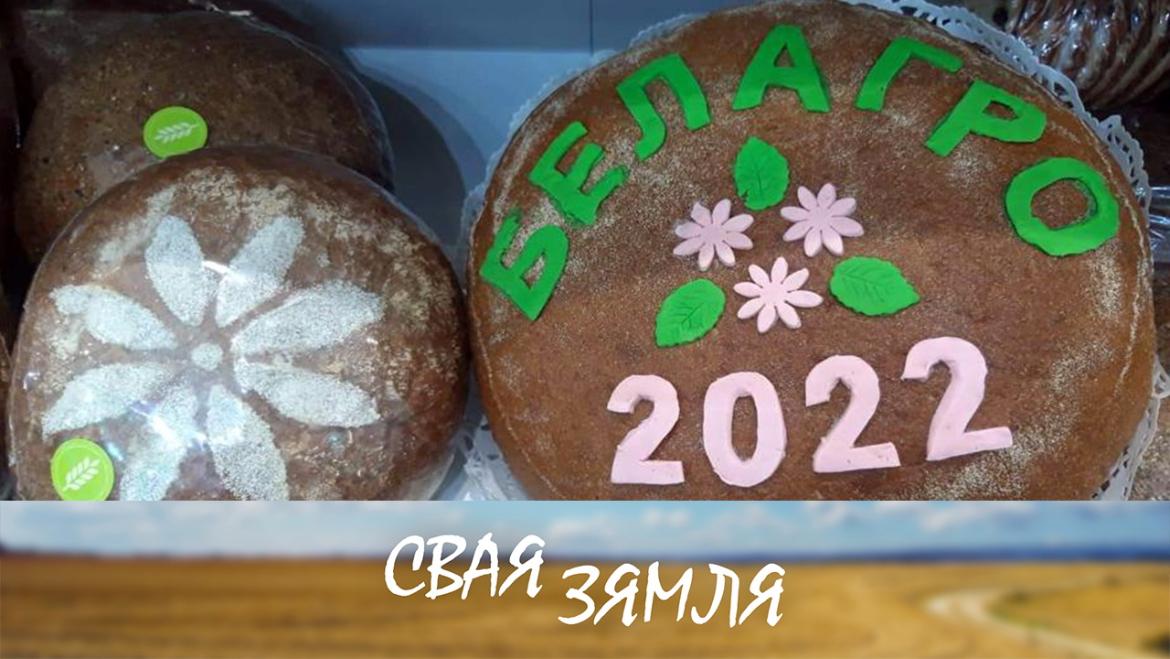 У БЕЛАРУСКІХ АГРАРЫЯЎ НОВЫЯ ПАРТНЁРЫ – «СВАЯ ЗЯМЛЯ», 11.06.2022 (відэаанонс)