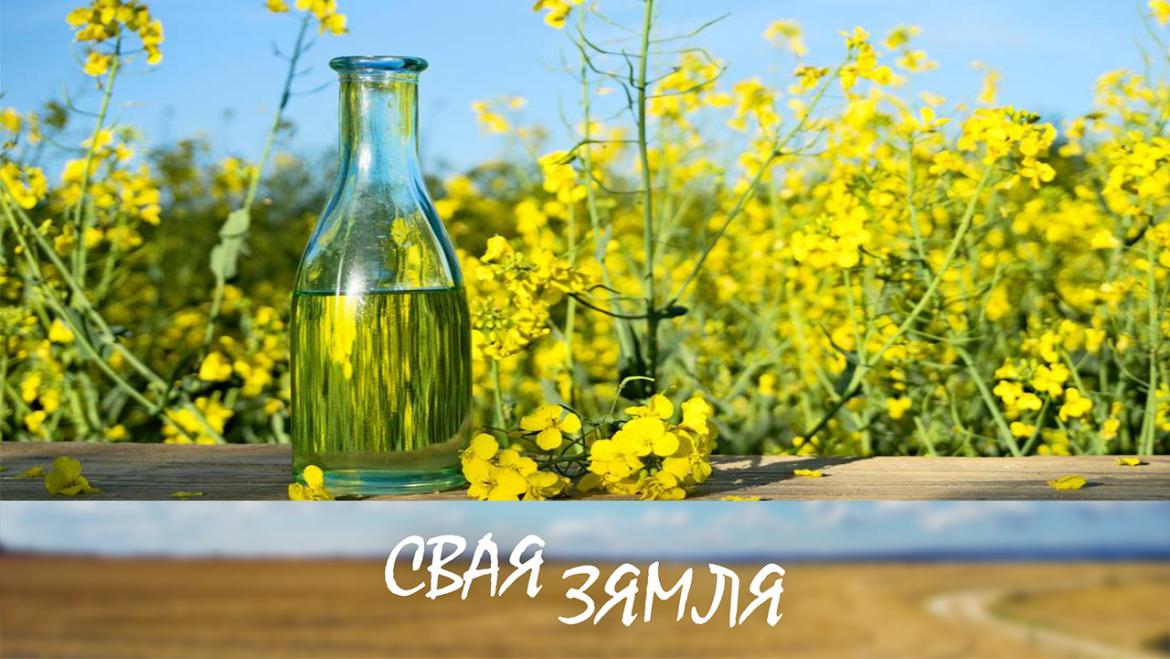 Анонс: НОВЫ ГОД СУСТРАКАЦЬ БЕЗ ДАЎГОЎ – «Свая зямля», 24.12.22