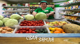 Анонс: На паліцах больш беларускіх тавараў – «Свая зямля», 1.11.2025