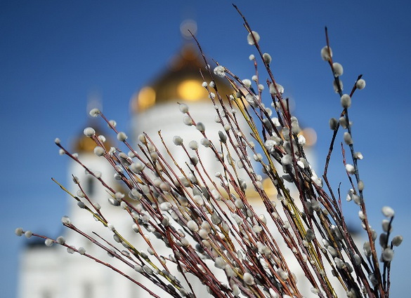 Анонс: Паломничество на Святую Землю / Вербное воскресенье – «Духовное слово», 9.04.2023