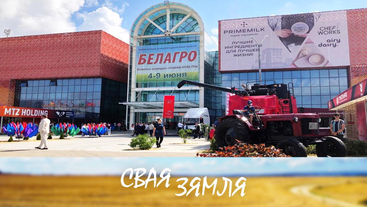 Прыклады імпартазамяшчэння на «Белагра-2024» – «Свая зямля»
