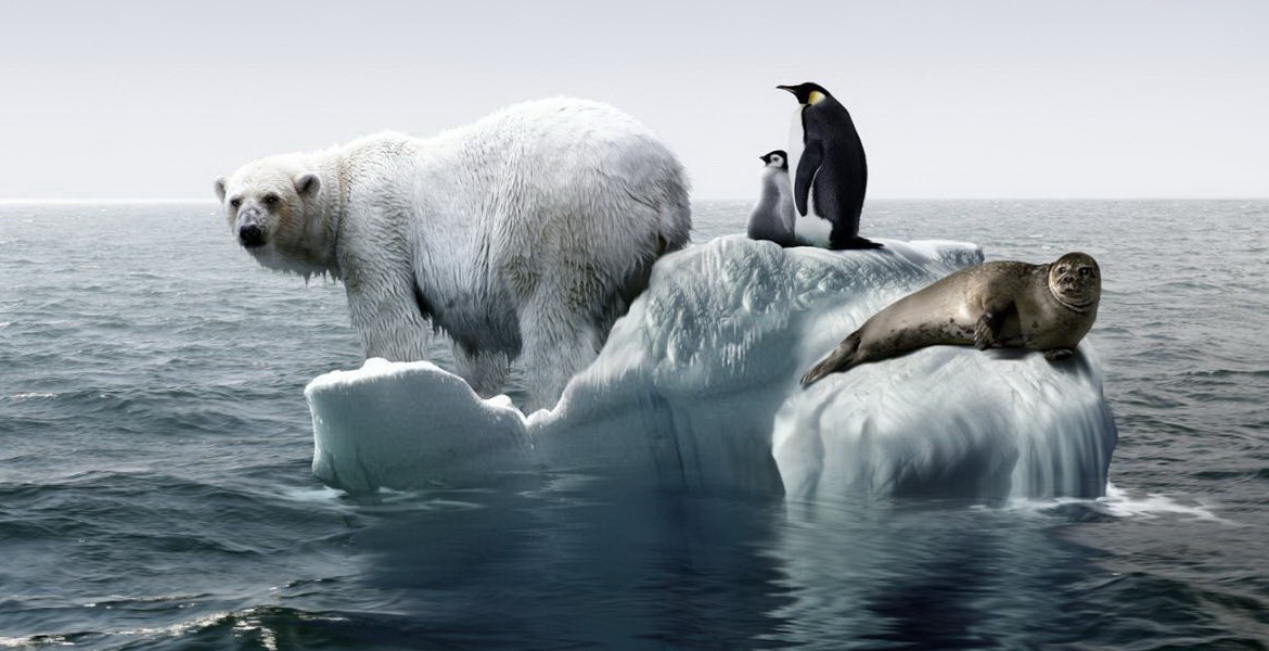 «Праблема глабальная? Дзейнічаем лакальна! Я так думаю. А вы?» Радыёблог Алены Давідовіч (аўдыё)