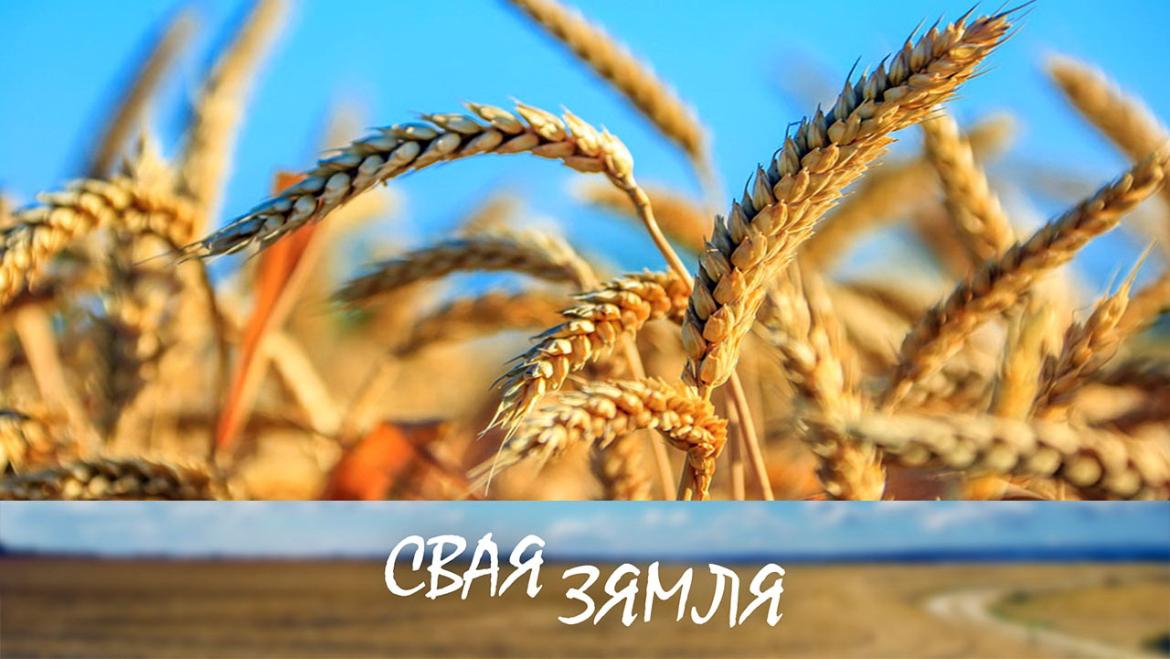 Анонс: ДОКШЫЦКІЯ ХЛЕБАРОБЫ ГАСПАДАРАЦЬ ПА-НОВАМУ – «СВАЯ ЗЯМЛЯ», 20.08.2022