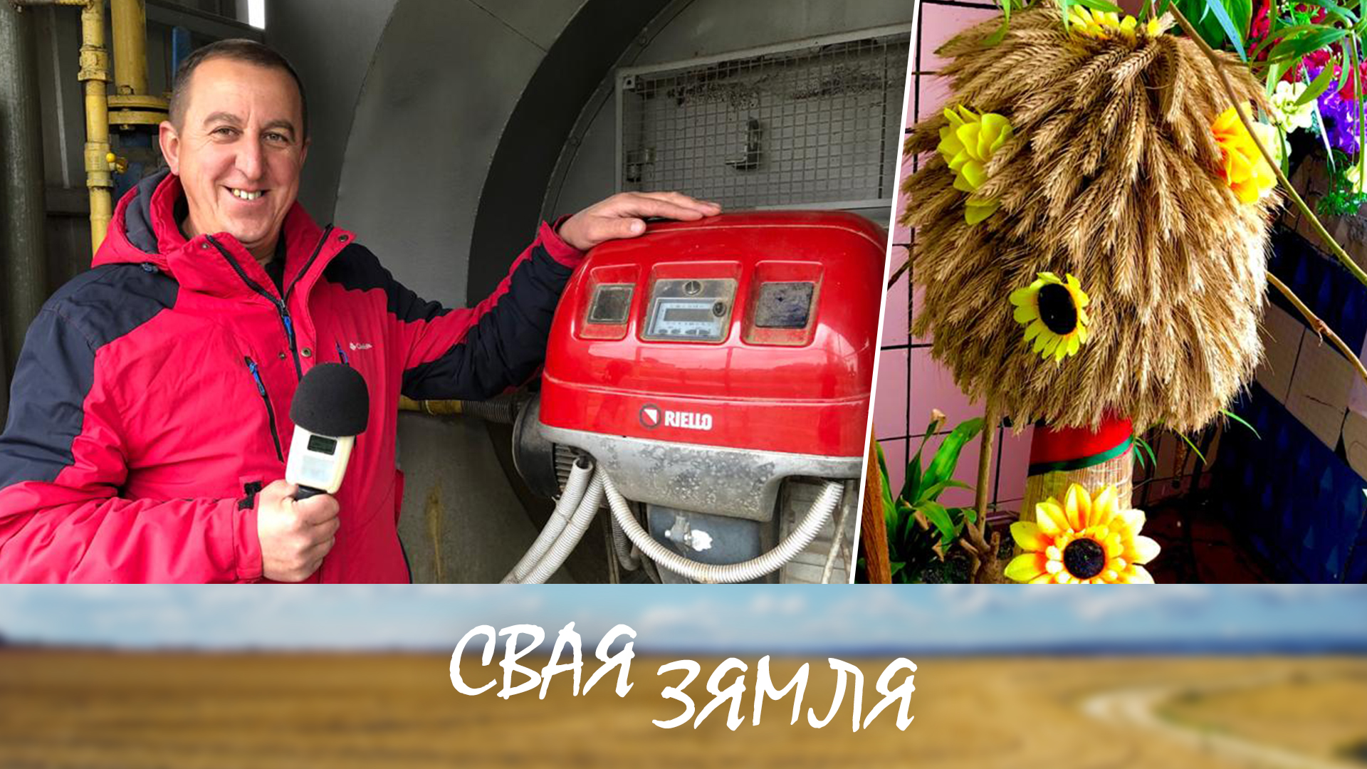 Збожжавыя рубяжы хлебаробаў Мінскай вобласці -  "Свая зямля"