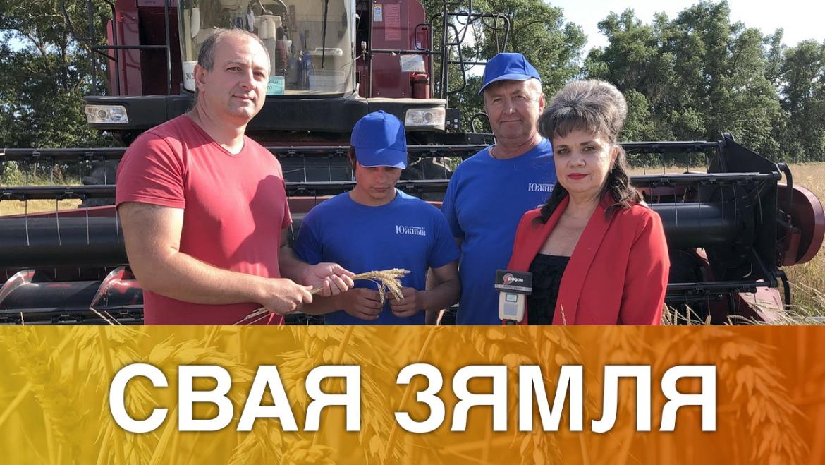 Хлебаробы змяняюць тактыку – «Свая зямля», 22.08.2020 (відэаанонс+аўдыё))