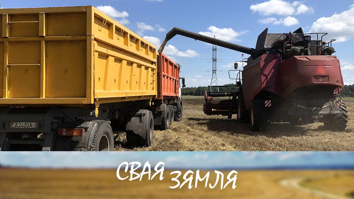 Анонс: ЖНІВО ПАДПАРАДКАВАНА ІНТАРЭСАМ ЭКАНОМІКІ – «Свая зямля», 27.08.2022