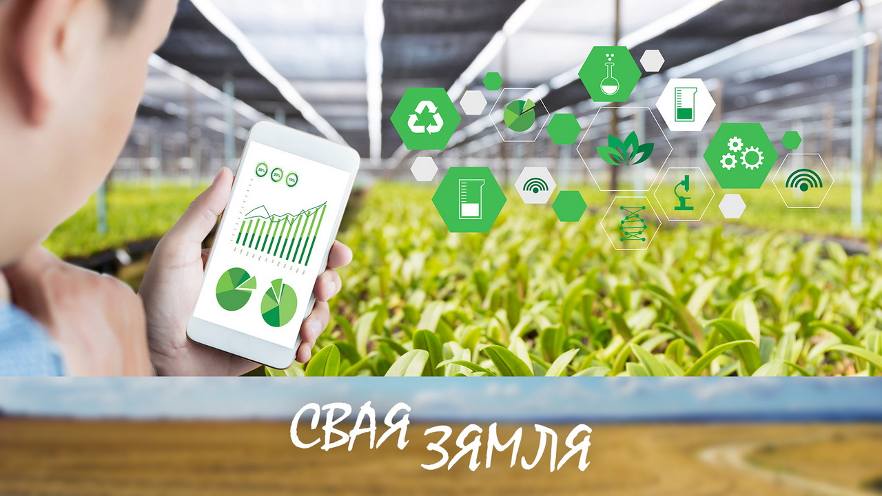 Анонс: У вяскоўцаў заўсёды ёсць выбар – «Свая зямля», 11.01.2025