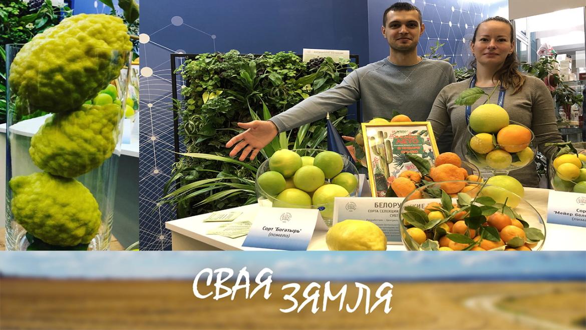 Анонс: БЕЛАРУСКІМ ВУЧОНЫМ ЁСЦЬ ШТО ПРАПАНАВАЦЬ У ІМПАРТАЗАМЯШЧЭННІ – «Свая зямля», 28.01.2023