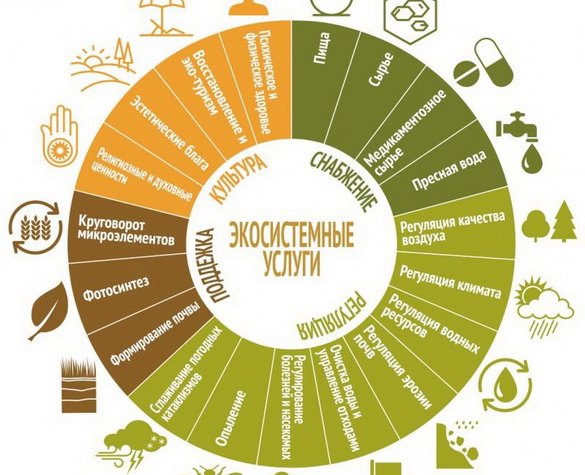 «Экасістэмныя паслугі: выкарыстоўваць разумна ці браць без абмежаванняў? – «Актуальны мікрафон» (аўдыё) «Экасістэмныя паслугі: выкарыстоўваць разумна ці браць без абмежаванняў? – «Актуальны мікрафон» (аўдыё)