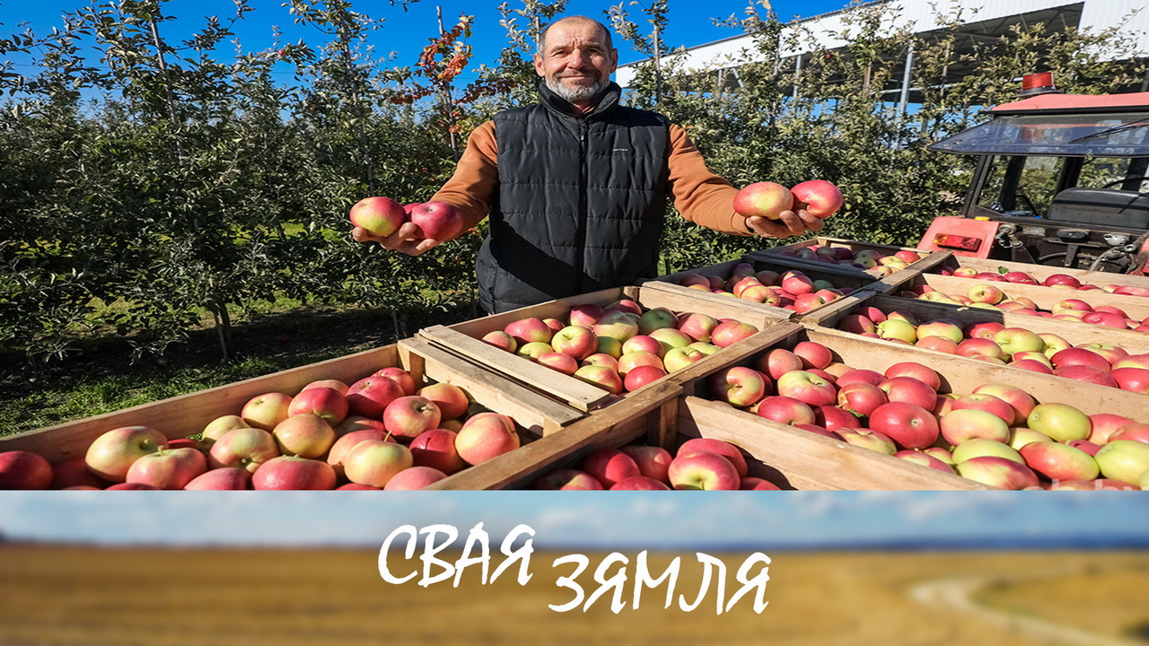 Анонс: Што хвалюе садаводаў краіны? – «Свая зямля», 13.09.2025