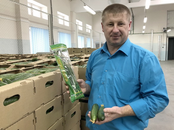 Свежыя гуркі з аршанскіх цяпліц – «Свая зямля», 12.01.2018 (відэаанонс) Свежыя гуркі з аршанскіх цяпліц – «Свая зямля», 12.01.2018 (відэаанонс)