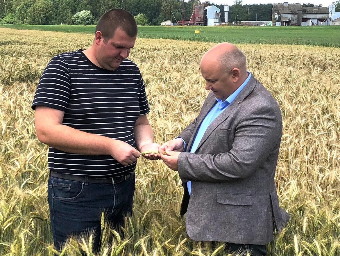 Ад чаго залежаць тэмпы жніва? – «Свая зямля»