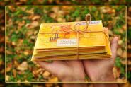 «Звычайныя гісторыі. Гонар і годнасць». Радыёблог Валянціны Стэльмах (аўдыё)