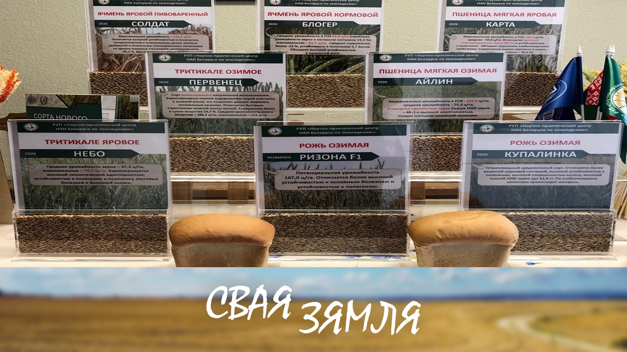 Анонс: Cмелыя рашэнні аграрнай навукі – «Свая зямля», 19.09.2026