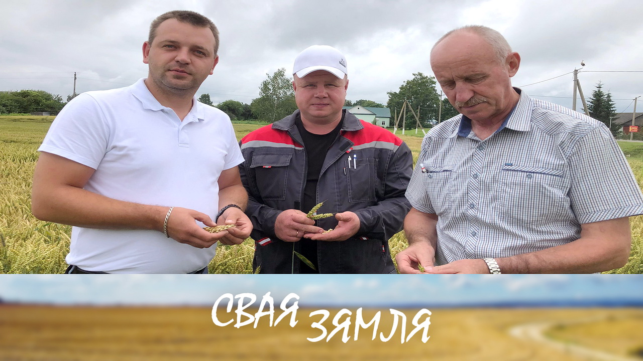 Анонс: Поспех здабываюць калектыўнай працай – «Свая зямля», 26.07.2025