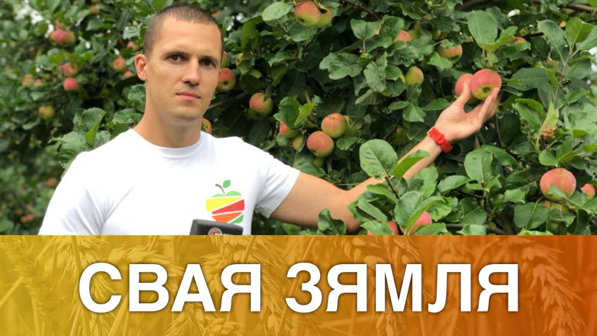 Беларускія яблыкі – у Аб'яднаныя Арабскія Эміраты! – «Свая зямля», 10.10.2020 (відэаанонс)