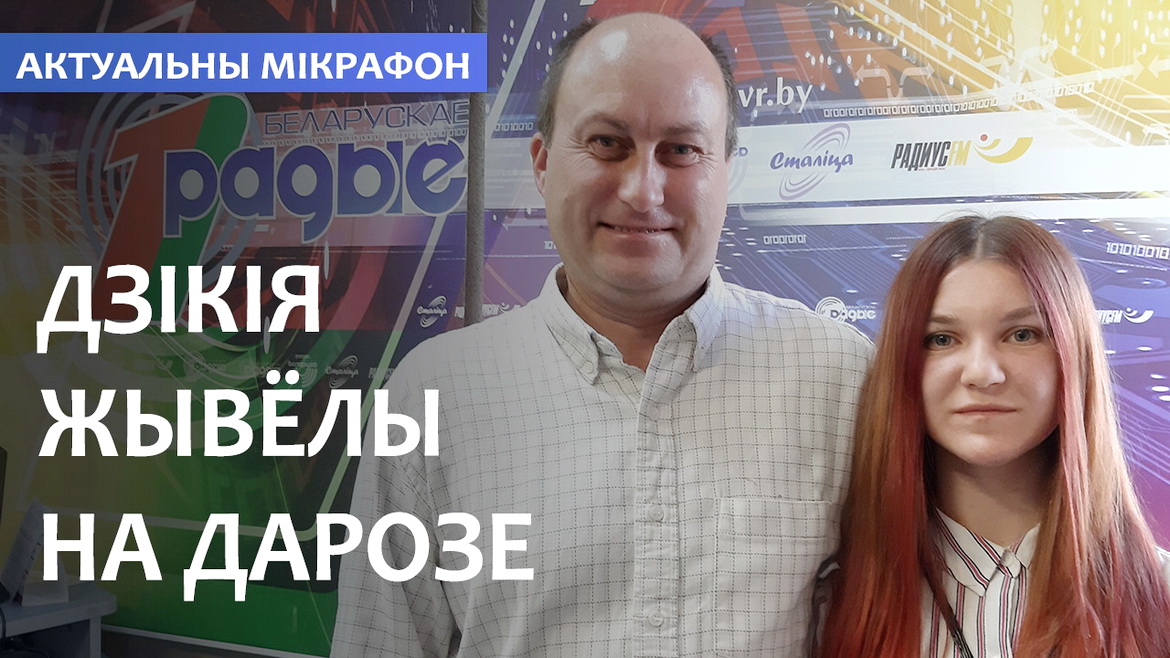ДИКИЕ ЖИВОТНЫЕ НА ДОРОГЕ (аудио)