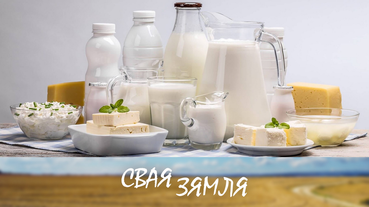 Анонс: Новыя рубяжы беларускай малочкі – «Свая зямля», 1.03.2025