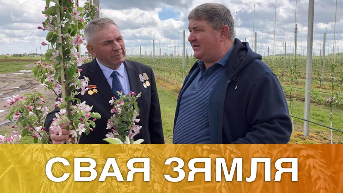 БЕЛАРУСКАЕ САДАВОДСТВА Ў НАДЗЕЙНЫХ РУКАХ – «СВАЯ ЗЯМЛЯ», 29.05.2021 (відэаанонс)