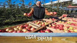 Анонс: Што хвалюе садаводаў краіны? – «Свая зямля», 13.09.2025