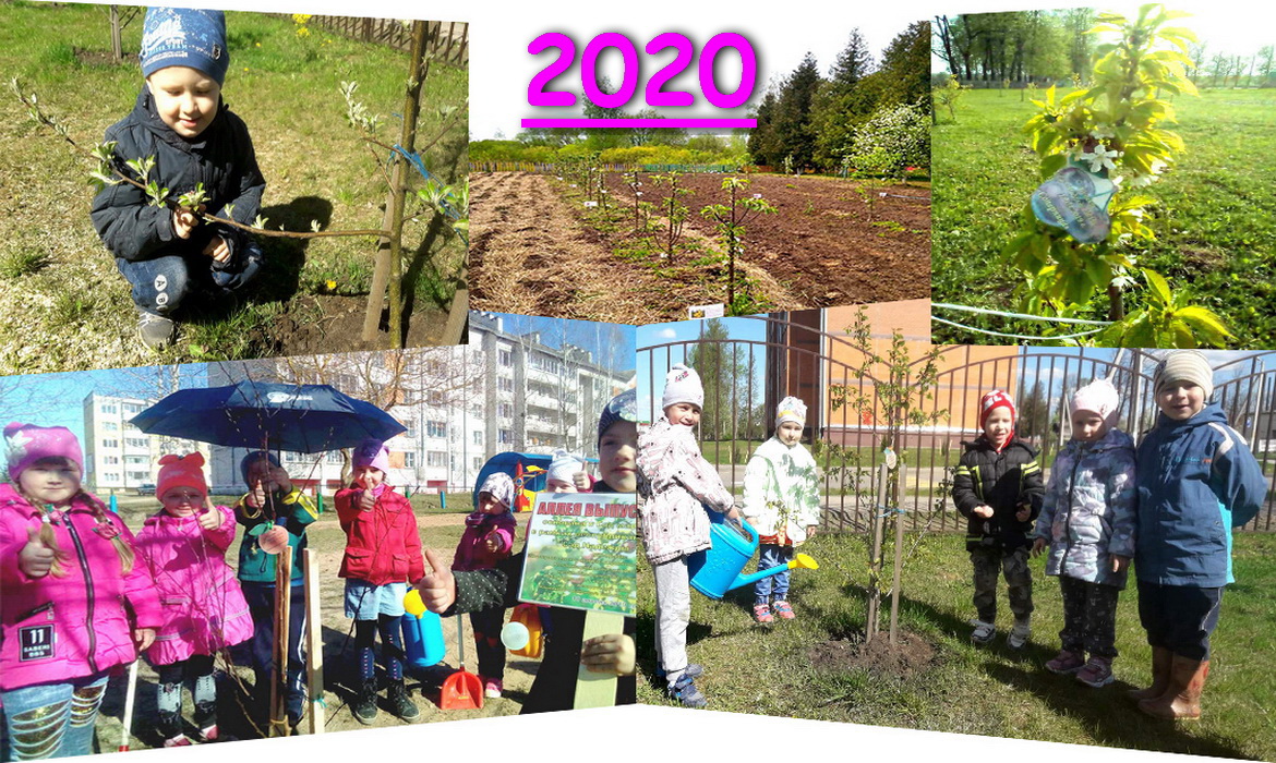 Наш «Сад надежды» расцвёл на радость детям!