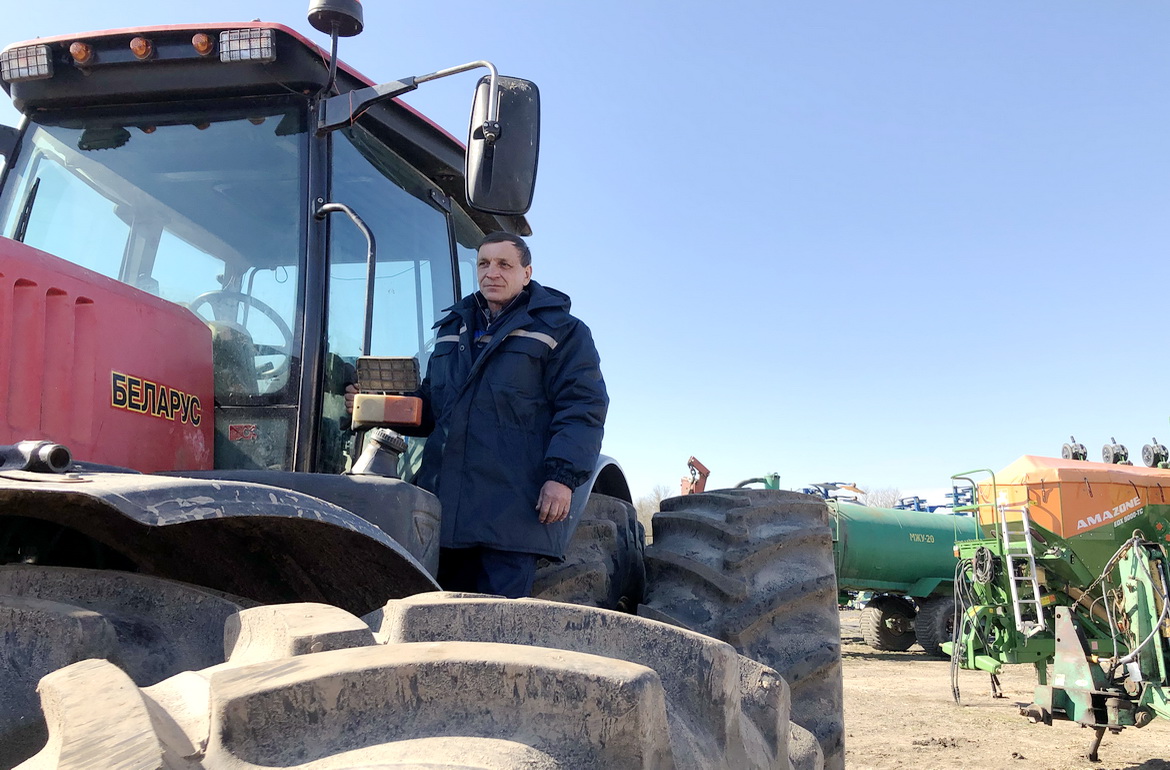 На якія рэкорды настроены сейбіты на поўначы?