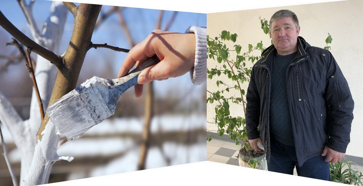 Ці будзем сёлета з яблыкамі? – «Свая зямля», 14.03.2020 (відэаанонс)