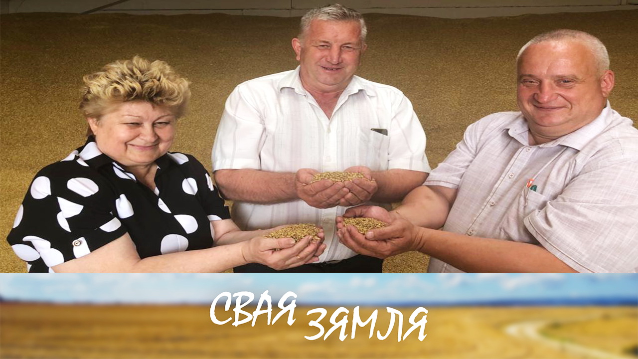 Анонс: Ці выгадна вырошчваць азімы ячмень? – «Свая зямля», 15.07.2023