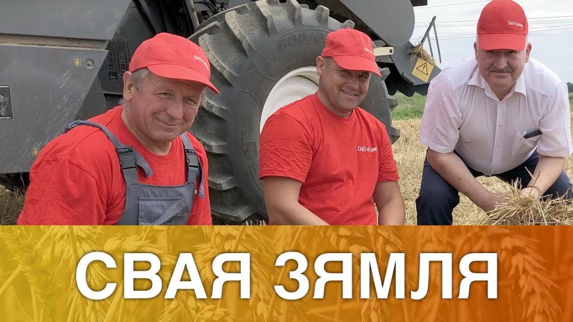 ЗЯЛЁНЫЯ ТАЛОНЫ НА ЖНІВЕ – «СВАЯ ЗЯМЛЯ», 1.08.2020 (відэаанонс+аўдыё)