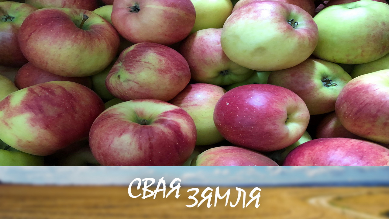 Анонс: Інавацыі ў навуковым садзе – «Свая зямля», 8.11.2025