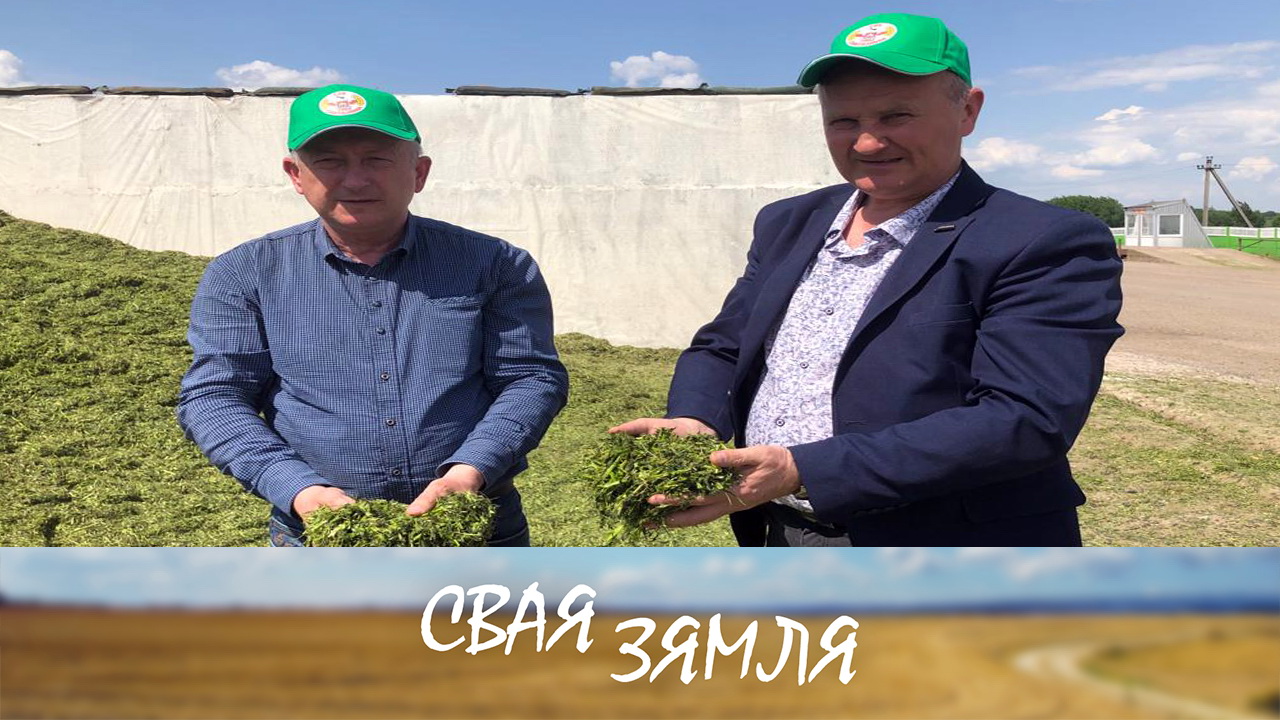 Анонс: ПОСПЕХ ЧАТЫРОХ «К» – «Свая зямля», 3.06.2023