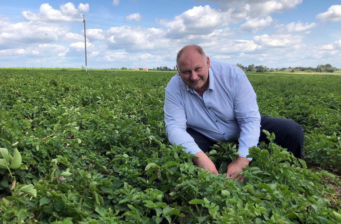 Ці будуць беларусы з бульбай? – «Свая зямля»