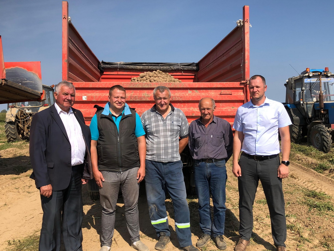 Бульбы хопіць усім! – «Свая зямля»