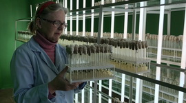Аптымістычны прагноз вучоных на новы сезон – «Свая зямля», 29.02.2020 (відэаанонс)
