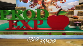 Анонс: Новыя накірункі на харчовым рынку – «Свая зямля», 15.11.2025