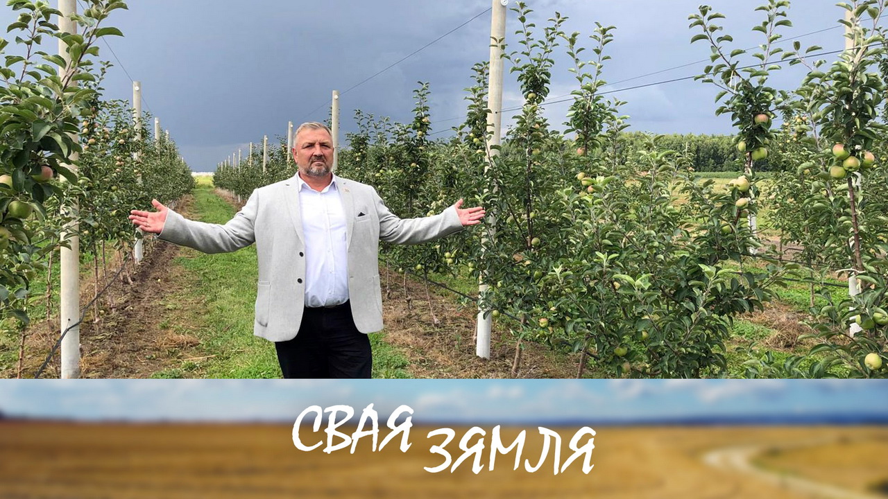 Анонс: Імпартазамяшчэнне беларускіх садаводаў – «Свая зямля», 28.09.2024